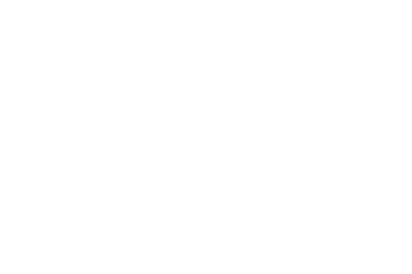 Award Winner - Anti-War International Independent Film Festival - 2024
