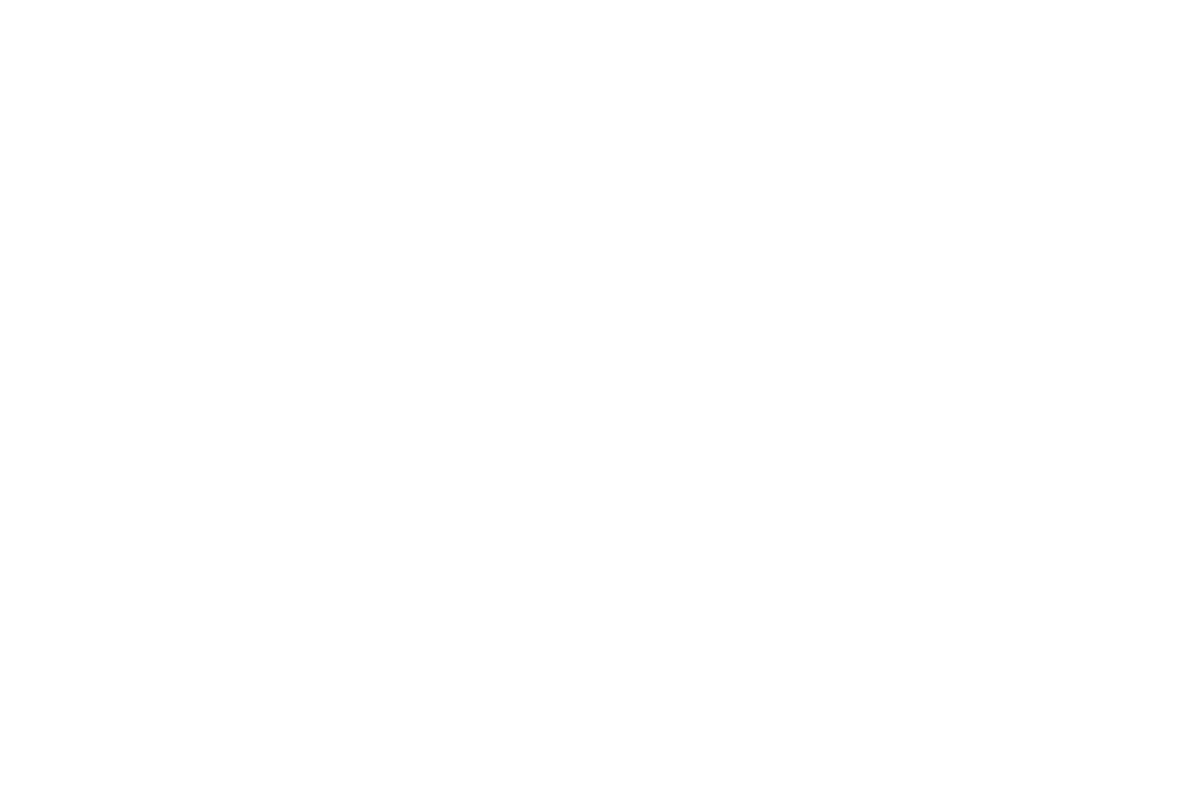 OFFICIAL SELECTION - Anti-War International Independent Film Festival - 2024